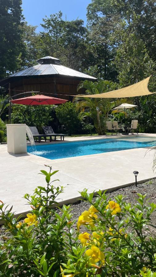 La Amapola Lodge, Bungalow En Peninsula De Osa. Barrigones Ngoại thất bức ảnh