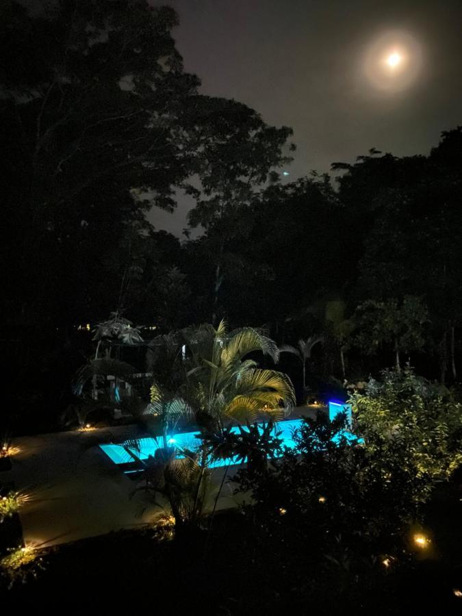 La Amapola Lodge, Bungalow En Peninsula De Osa. Barrigones Ngoại thất bức ảnh